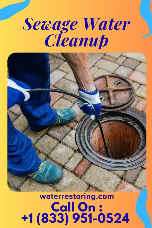 Sewage Water Cleanup in Peak Place, NM